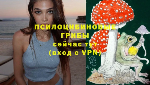 дживик Володарск