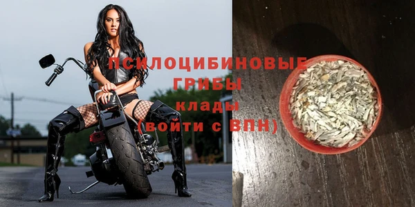 дживик Володарск