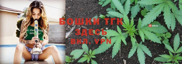 дживик Володарск