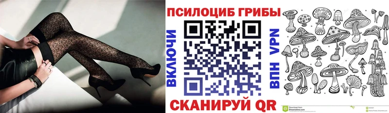 Галлюциногенные грибы Psilocybe  Рузаевка 