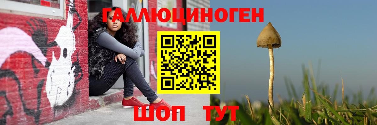 Галлюциногенные грибы Psilocybe  Вход с VPN  Рузаевка 